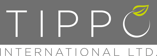 Tippo International Ltd